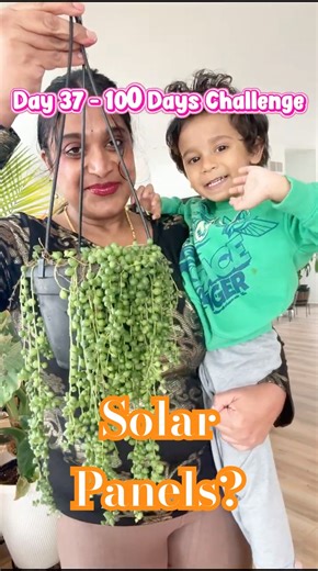 The Secret "Windows" in your String of Pearls 🪴🔍 #mythicflora #plantcare #ytshorts