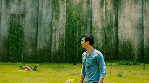 the beauty of maze runner | Meraki.