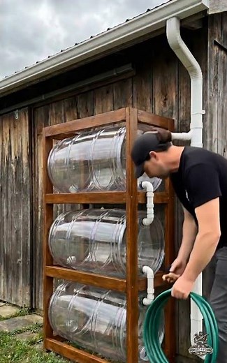Genius DIY Rainwater Harvesting System! 🌧️🌱