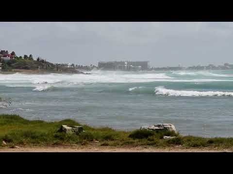 Extreme Wind Day at the Beach | Kite Surfers Take Over the Ocean | Strong Winds Hit the Beach