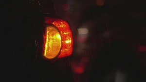 Free Flash Videos: 4K & HD | No Watermark | Download Now