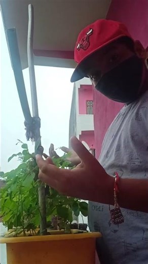 introduction of flowers