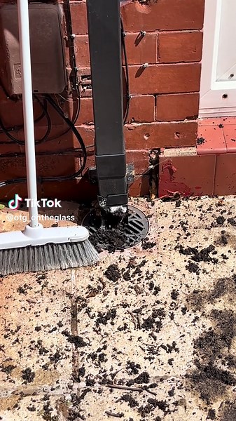 OTG on TikTok