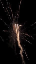 69K views · 1.4K reactions | 1.2 Inch 100 Shots Gold Coconut Tree Fireworks Cake 2025 #fireworks #pyro #fireworkshow #fireworksdisplay #huge | Firework Cloud | Facebook