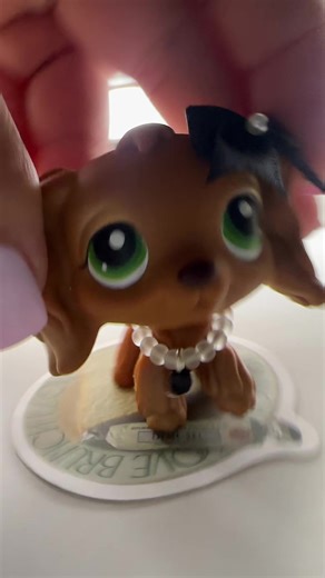 COCKER SPANIELLSSSSSSS #lps #lpstiktok #lpscollection
