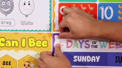 D4DREAM Days of The Week Poster for Kids - 2Pcs Laminated Months of the Year Poster for Classroom Decorations Toddler Learning Posters for PreK Kindergarten Homeschool Nursery Daycare Essentials