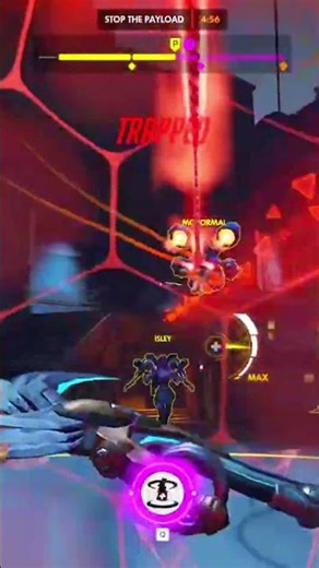 MY FIRST EXPIERENCE WITH JETPACK CAT