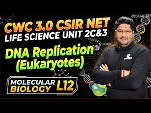 𝐂𝐒𝐈𝐑 𝐍𝐄𝐓 𝐋𝐢𝐟𝐞 𝐒𝐜𝐢𝐞𝐧𝐜𝐞 | 𝐃𝐍𝐀 𝐑𝐞𝐩𝐥𝐢𝐜𝐚𝐭𝐢𝐨𝐧 (𝐄𝐮𝐤𝐚𝐫𝐲𝐨𝐭𝐞𝐬) | 𝐌𝐨𝐥𝐞𝐜𝐮𝐥𝐚𝐫 𝐁𝐢𝐨𝐥𝐨𝐠𝐲 𝐋𝟏𝟐 | 𝐂𝐖𝐂 𝟑.𝟎