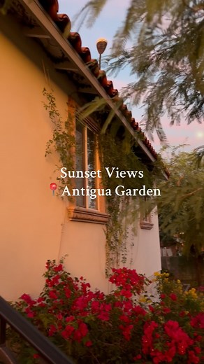 Searching for the perfect place to capture memories—whether it’s a sunset photoshoot, a dreamy ceremony, or a romantic garden dinner? 🌞✨ Antigua Garden sets the scene for every special moment. Book with us today! (602) 759-0042 #antiguagarden #arizonavenue #gardenvenue #sunset #arizonasunset #phoenix #weddingvenue #bridetobe #weddingseason #arizonawedding #quinceañera #phoenixvenue #gardenphotoshoot | Antigua Garden