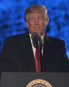 Donald and Melania Trump light their first National Christmas Tree