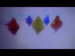 The Boohbahs Do The Busy Dizzy Dance To Ring Around A Rosie (Emmy & Cassie)