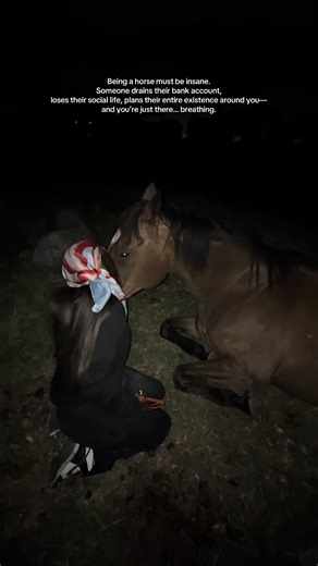 Life with Horses: Balancing Passion and Reality