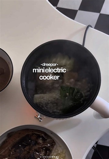 Mini Multifunctional Electric Cooker for Quick Meals