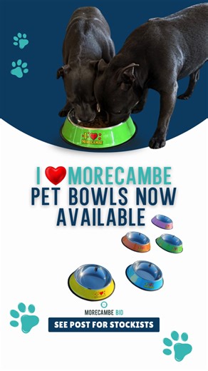 They’re here. Our brand new limited edition “I Love Morecambe” pet bowls have landed in town, and they’re already turning heads (and tails). Available in five great pastel colours, these sturdy stainless steel bowls come with a non-slip rubber base and are large enough to satisfy two hungry heads… or double up as a small pet swimming bowl for those who like to make a splash. With an RRP of £5, they offer fantastic value and make a brilliant gift for the four-legged members of the family. Pick yo