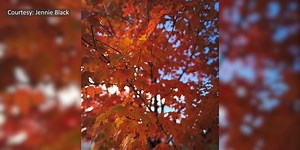 October fall color changes