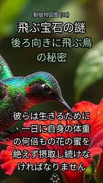 31. 時空を操る鳥？🐦 この超速の秘密に迫る！驚異のハチドリ生態系 #ハチドリ #鳥類 #自然 #ドキュメンタリー #驚異の生物 #飛行 #生態 #動物