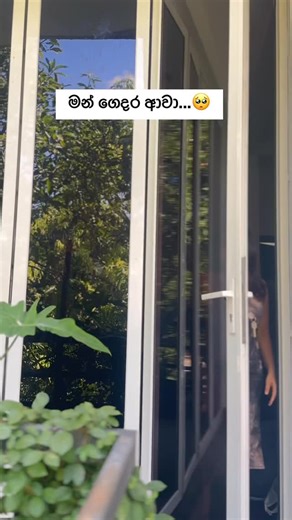 Bandi Full on Instagram: "මන් ගෙදර ආවා 🥰 #foodies #srilanka"