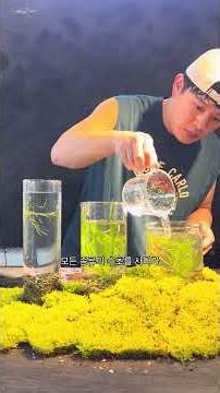 The Science Behind Not Changing Your Aquarium Water (Aquatic Plants Edition)