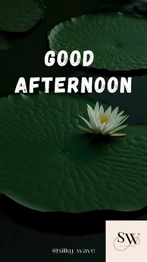 Good Afternoon GIF| #goodafternoonstatus WhatsApp Status| @ Silky Wave