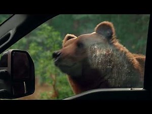 Ford Security Package | Don't get caught off guard.
