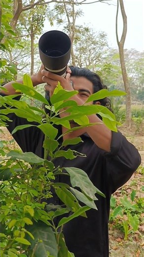 animal bird photography #short #feed #animal #bird #photography