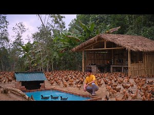 Building a Green, Clean, Sustainable Farm from Scratch | A Single Man's Journey