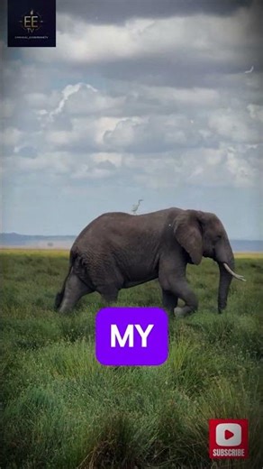 Powerful Morning Prayer to Start Your Day With God’s Strength & Peace