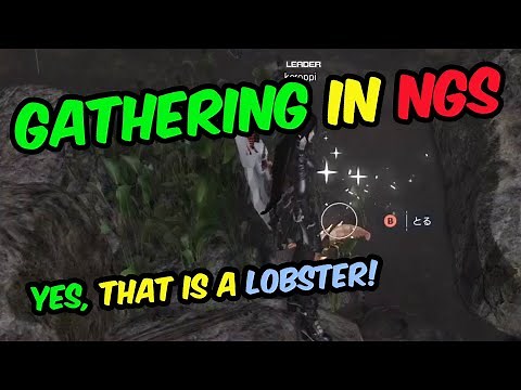 [PSO2:NGS] Gathering Explained