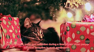 What Are The Most Famous Christmas Eve Speeches In History?