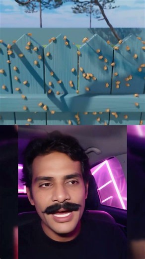 How Cicada Broods Work 🤔 #viral #foryou #facts #trending