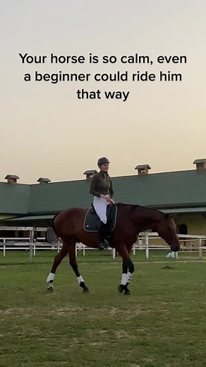 I trained him babe😉 And it’s usually also “you haven’t seen MY horse, he’s a devil”. 🏖, that tells a lot about you then #horsetraining #positivereinforcement