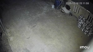 1.2M views · 3.8K reactions | Loa  lúc 23h 11 phút có anh ,chị nào lấy nhầm của nhà em 5 bịch củ dền thì mau đưa lại cho em nha | Nguyen Tran Hoang Hoi | Facebook