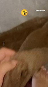 415K views · 885 reactions | This girl was on vacation with her boyfriend when she noticed a lump on her ankle. Although she was unsure of what kind of bug had bitten her, panic and discomfort filled her body. | Positive | Facebook