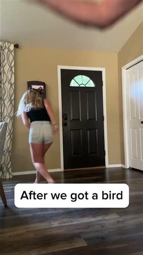 Life before vs after having a bird #parrot #bird #africangrey #marriagehumor