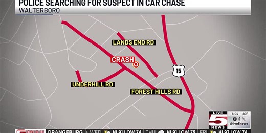 VIDEO: Walterboro Police search for man accused of leading officers on vehicle pursuit