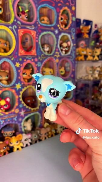 colors of the rainbow🌈 i love the green one 🥹 #lps #littlestpetshop #lpscollection #lpscollector #lpstok #lpstiktok #lpsfyp #lpschallenge