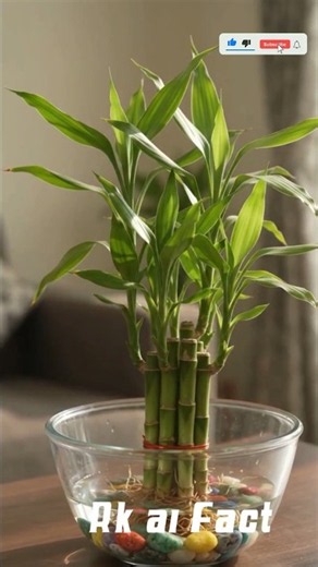 🌱5 Amazıng Indoor Gardening Hacks to Grow Plants Without Soil!🌿😱