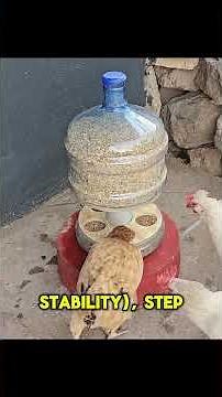 Turn 1 Water Jug Into a Genius Chicken Feeder in 5 Minutes (No Tools? No Problem!)