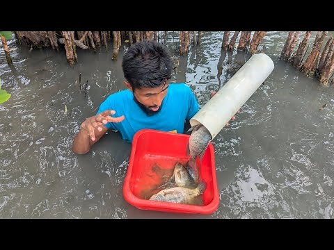 Amazing Fishing Trap | How to Make PVC Pipe Fish Trap | Catching Lots of Fish Easily