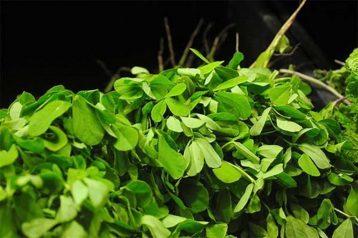 Best Substitutes for Fenugreek Leaves