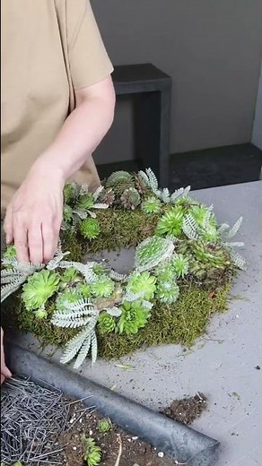 Adventskranz mit Sukkulenten gestalten | Rustikale Weihnachtsdeko