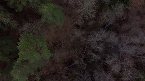 Raw Footage Videos: Download 868+ Free 4K & HD Stock Footage Clips - Pixabay