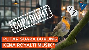 16K views · 133 reactions | Polemik royalti musik berimbas pada...