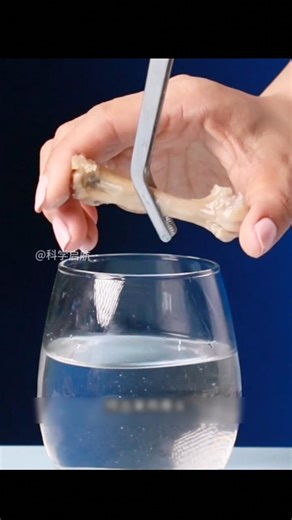 Amazing science experiments || #experiment #experiements #trendingshorts #facts #youtubeshorts