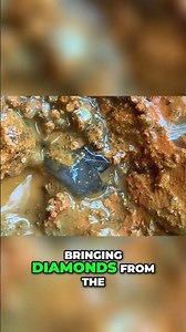 Diamond Plants: Pandanus Candelabrum's Secret Revealed! #shorts