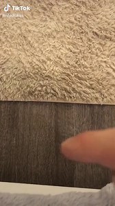 🙀🙀 | Chubby Cats