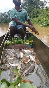 172K views · 4.6K reactions | Retirer vos fillet de l'eau après utilisation svp 殺 | Assemien Bosso | Facebook