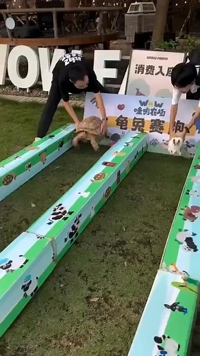 Ecclesiastes 9:11 playing out in reality, even in the animal world. Another lesson to be learnt here is that not every cheer is good for your progress. Some are background noise and distractions. Forget people's cheers and compliments (even if they are well-intentioned) and just focus on your grind and self. The hare was cheered all through, but the more the cheer it got, the more confused it looked. #TLCM | Seun Afolayan