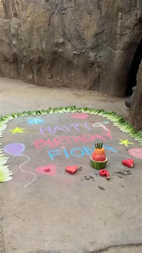 9 year old Princess Fiona enjoys her Birthday cake 🎂! | Cincinnati Zoo & Botanical Garden