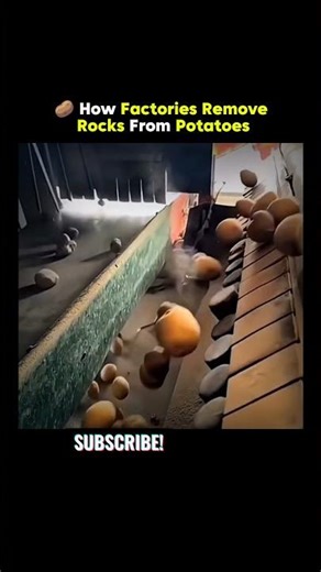 This Is How Machine Finds Rocks In Potato Factories 🥔🥔